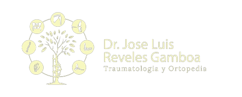 Dr. José Luis Reveles